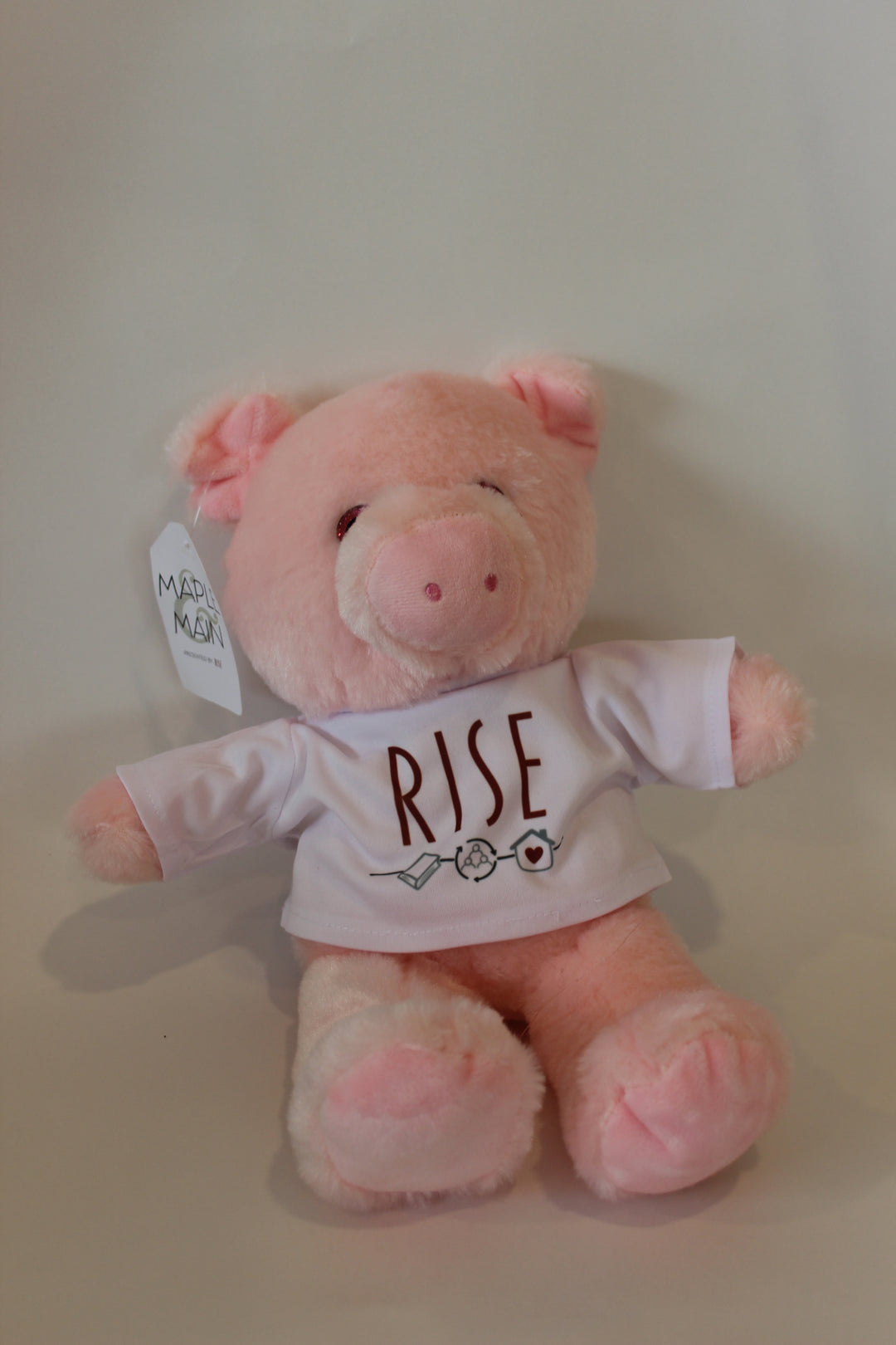 Small Plush Stuffed Animal with T-Shirt